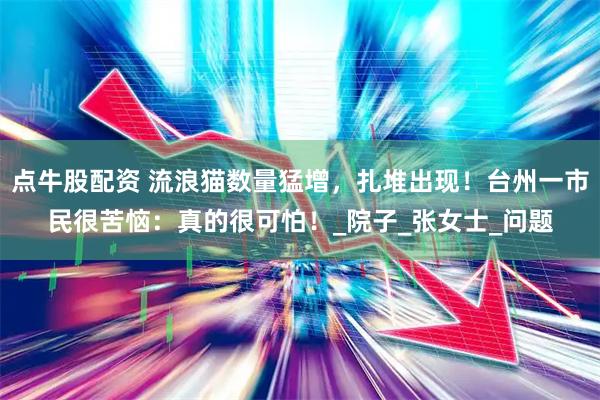 点牛股配资 流浪猫数量猛增，扎堆出现！台州一市民很苦恼：真的很可怕！_院子_张女士_问题