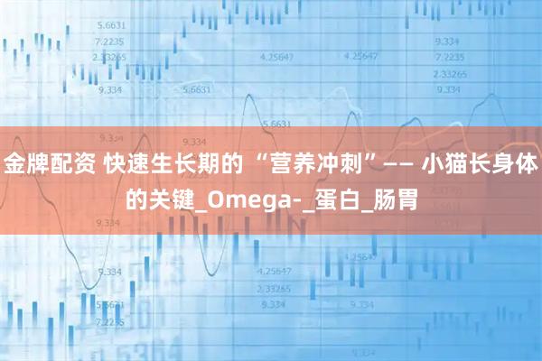 金牌配资 快速生长期的 “营养冲刺”—— 小猫长身体的关键_Omega-_蛋白_肠胃